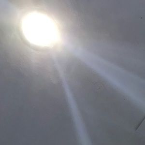 Meet your Posher, Dane